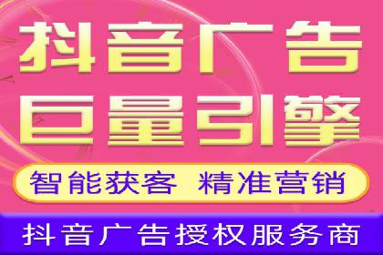 百度竞价与搜索引擎优化（SEO）的协同效应案例